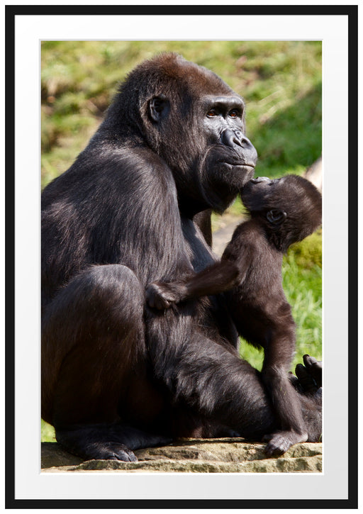 Gorilla-Baby küsst seine Mutter Passepartout 100x70