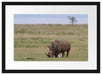 großes Nashorn beim Fressen Passepartout 55x40