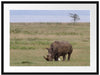 großes Nashorn beim Fressen Passepartout 80x60