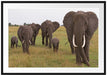 große wandernde Elefantenhorde Passepartout 100x70