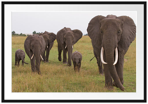 große wandernde Elefantenhorde Passepartout 100x70