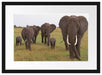 große wandernde Elefantenhorde Passepartout 55x40