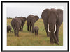 große wandernde Elefantenhorde Passepartout 80x60