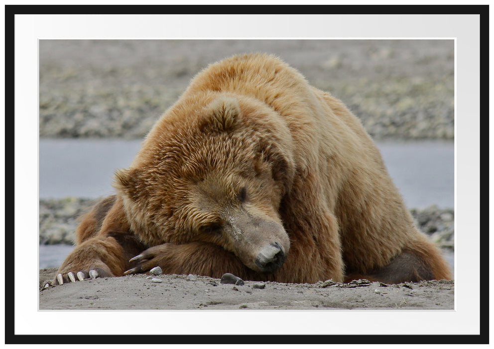 Pixxprint Bär am Sandstrand, im Galerie-Passepartout Bilderrahmen
