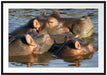schwimmende Flusspferdfamilie Passepartout 100x70