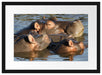 schwimmende Flusspferdfamilie Passepartout 55x40