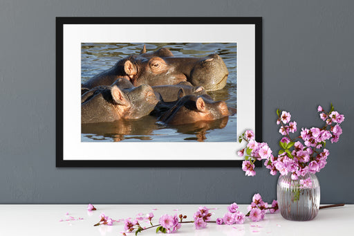 schwimmende Flusspferdfamilie Passepartout Wohnzimmer