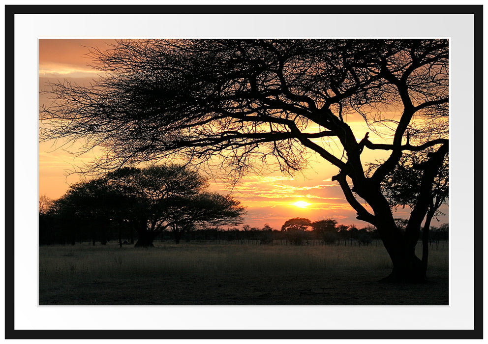 Pixxprint Savanne im Dämmerlicht, im Galerie-Passepartout Bilderrahmen