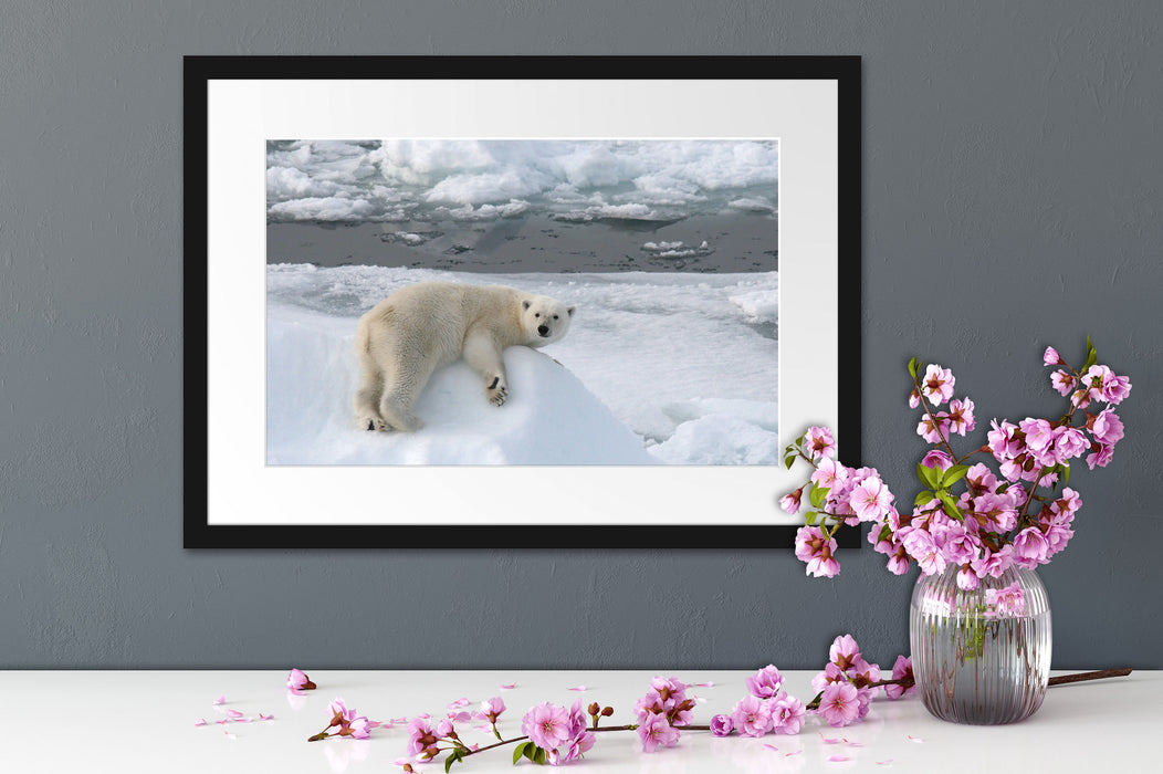 Eisbär auf Eisberg Passepartout Wohnzimmer