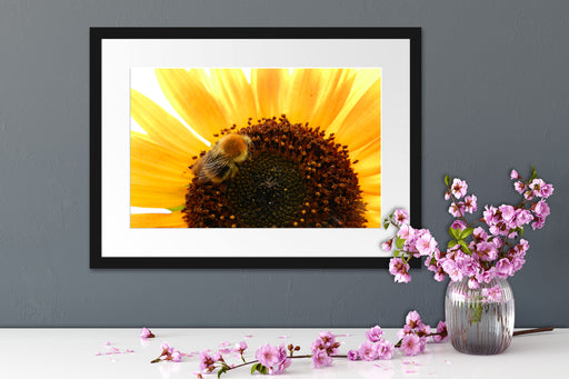 Biene auf Sonnenblume Passepartout Wohnzimmer