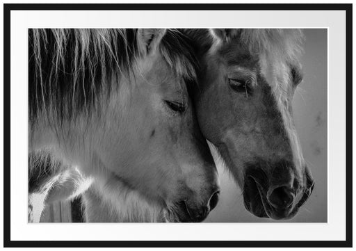 zwei liebevolle Pferde Passepartout 100x70