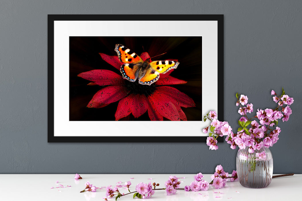 Schmetterling auf roter Blüte Passepartout Wohnzimmer