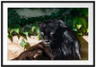schwarzer Panther Passepartout 100x70