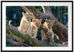 süße Löwenjunge auf Baum Passepartout 100x70