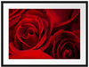 rote Rosen Passepartout 80x60