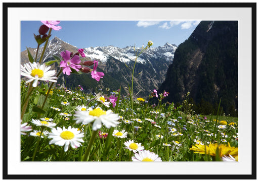 Wunderschöne Blumen Alpenwiese Passepartout 100x70