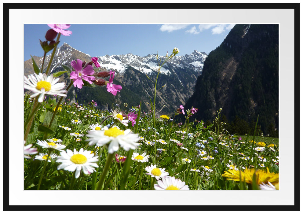 Pixxprint Wunderschöne Blumen Alpenwiese, im Galerie-Passepartout Bilderrahmen