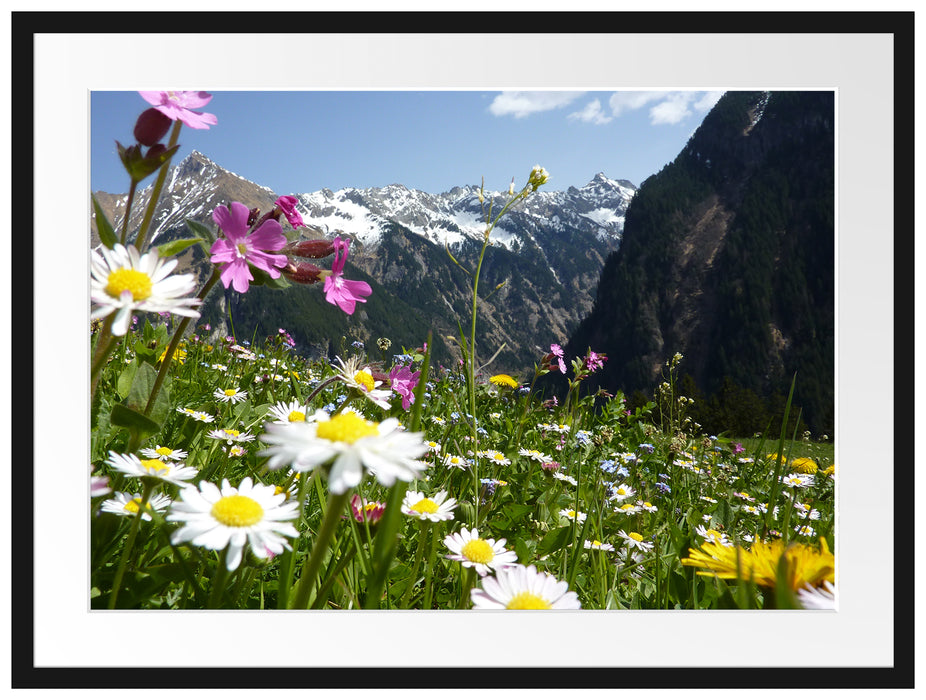 Wunderschöne Blumen Alpenwiese Passepartout 80x60