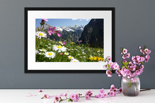 Wunderschöne Blumen Alpenwiese Passepartout Wohnzimmer