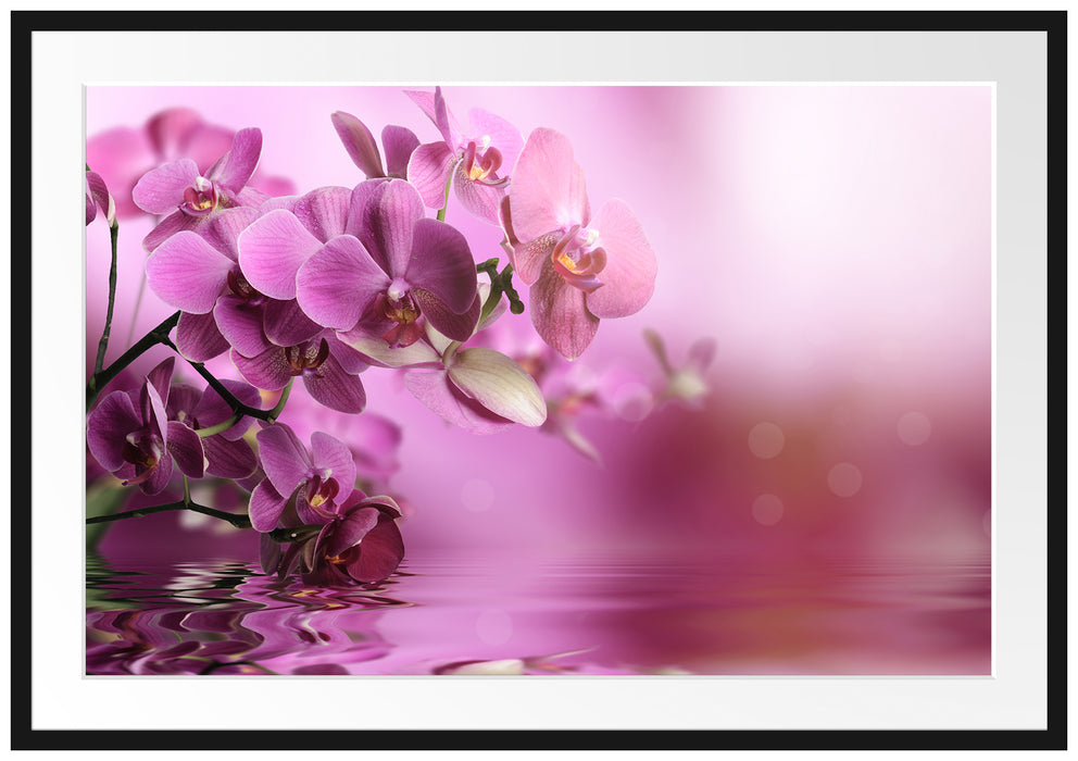 Pixxprint Wunderschöne Orchideenblüten, im Galerie-Passepartout Bilderrahmen