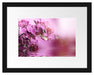 Wunderschöne Orchideenblüten Passepartout 38x30