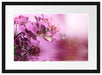 Wunderschöne Orchideenblüten Passepartout 55x40