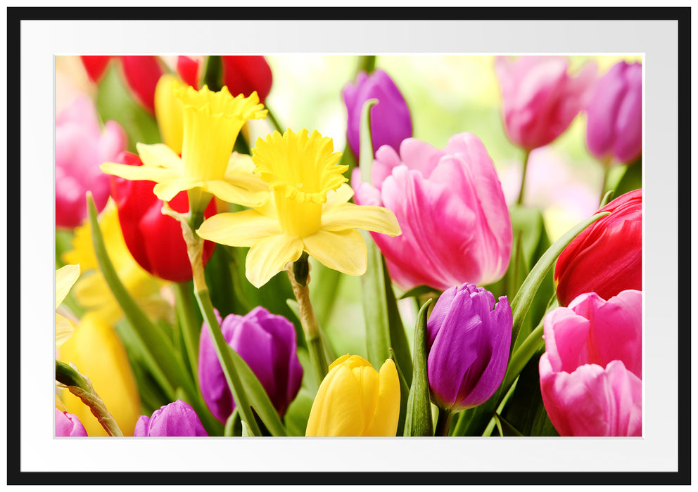 Pixxprint Osterglocken und Tulpen, im Galerie-Passepartout Bilderrahmen