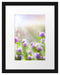 Kleeblüten im Sonnenschein Passepartout 38x30