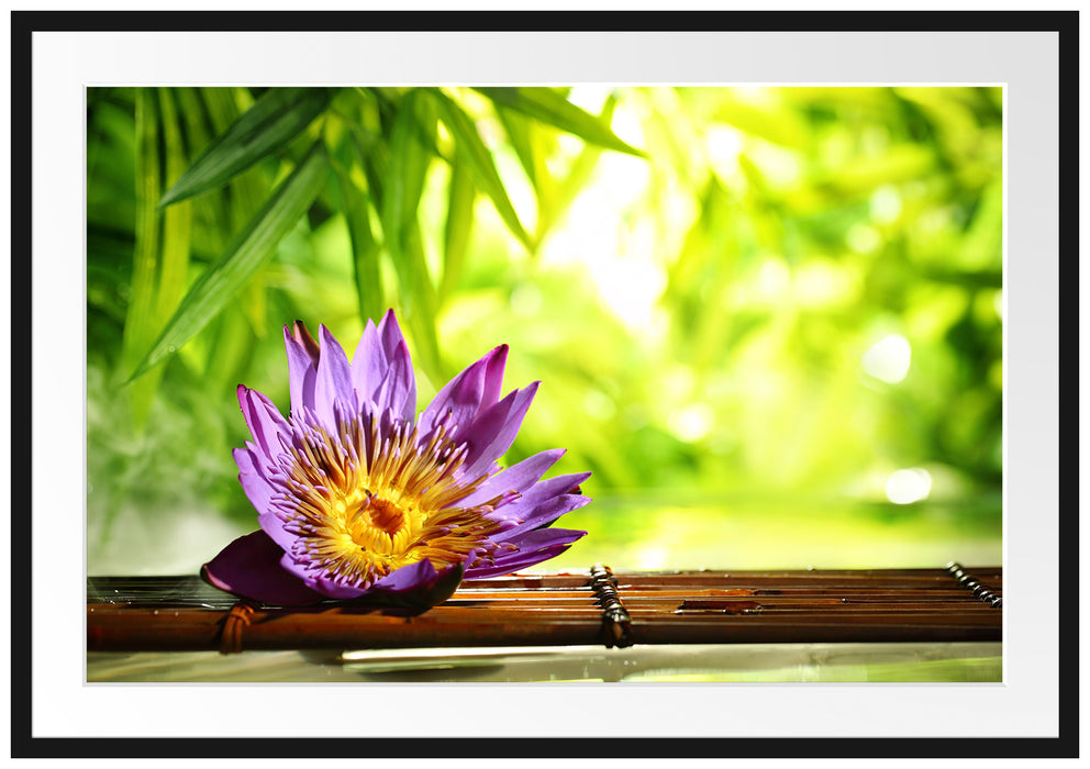 Pixxprint Seerose auf Bambus Wellness, im Galerie-Passepartout Bilderrahmen