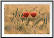 Zwei schöne Mohnblumen Passepartout 100x70