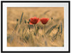 Zwei schöne Mohnblumen Passepartout 80x60
