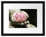 Lotus auf der Hand eines Buddhas Passepartout 38x30