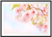 Kirschblüten an Baum Passepartout 100x70