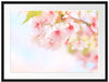Kirschblüten an Baum Passepartout 80x60