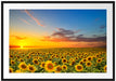 Sonnenuntergang Sonnenblumen Passepartout 100x70
