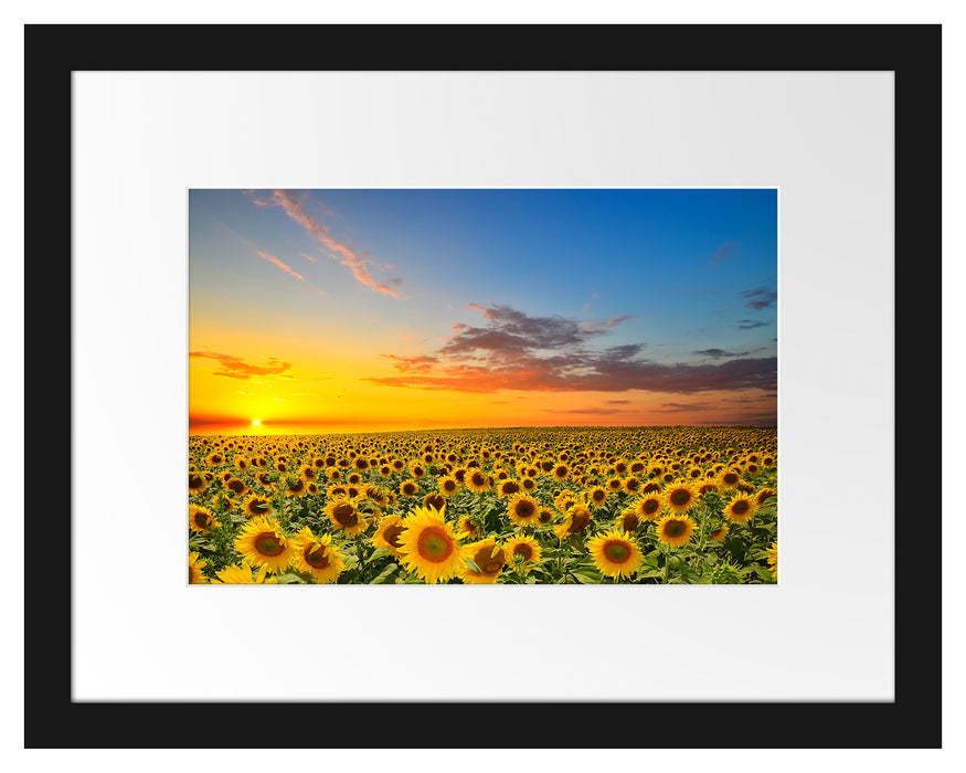 Sonnenuntergang Sonnenblumen Passepartout 38x30