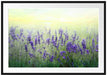 Schöner Lavendel im Regen Passepartout 100x70
