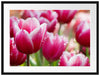 Tulpen mit Morgentau Passepartout 80x60