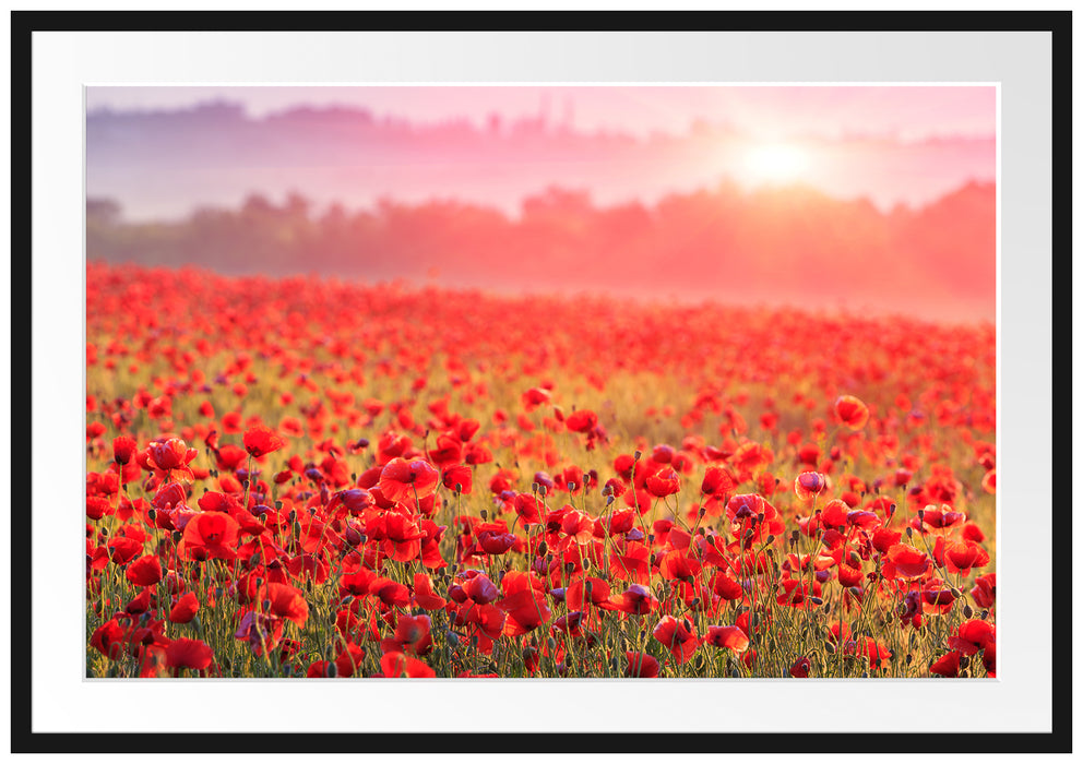 Pixxprint Mohnwiese im Sonnenschein, im Galerie-Passepartout Bilderrahmen