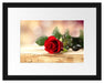 Rose auf Holztisch Passepartout 38x30