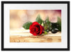 Rose auf Holztisch Passepartout 55x40
