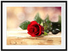 Rose auf Holztisch Passepartout 80x60