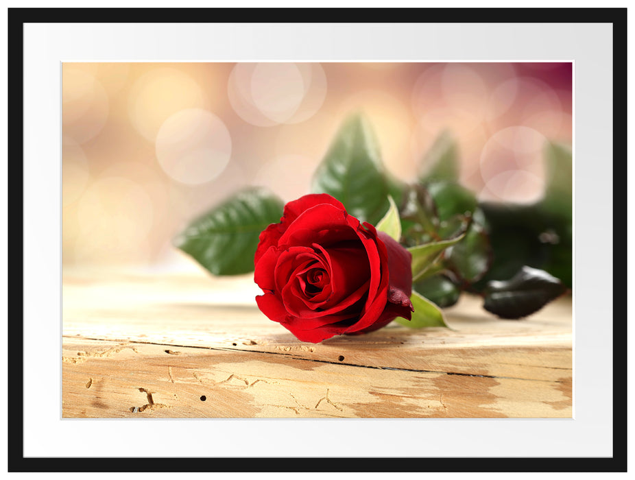 Rose auf Holztisch Passepartout 80x60