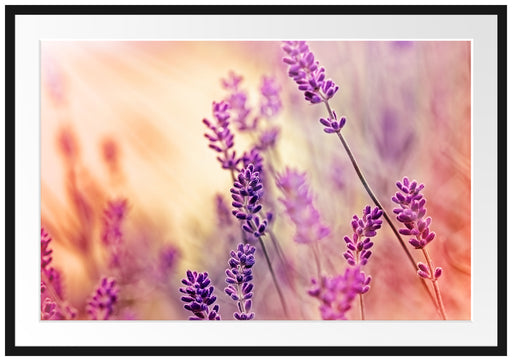 Eleganter Lavendel Passepartout 100x70