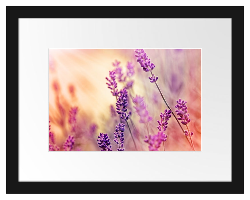 Eleganter Lavendel Passepartout 38x30