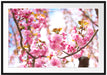 Schöne Kirschblüten Passepartout 100x70