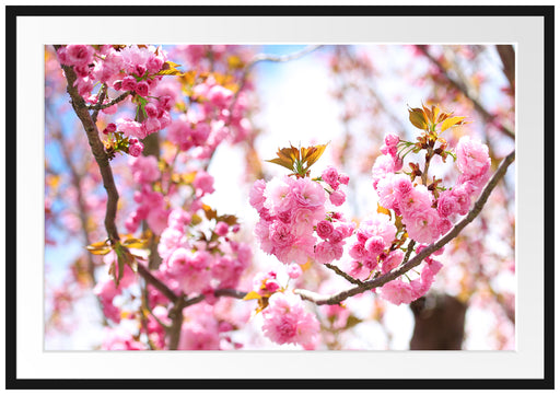 Schöne Kirschblüten Passepartout 100x70
