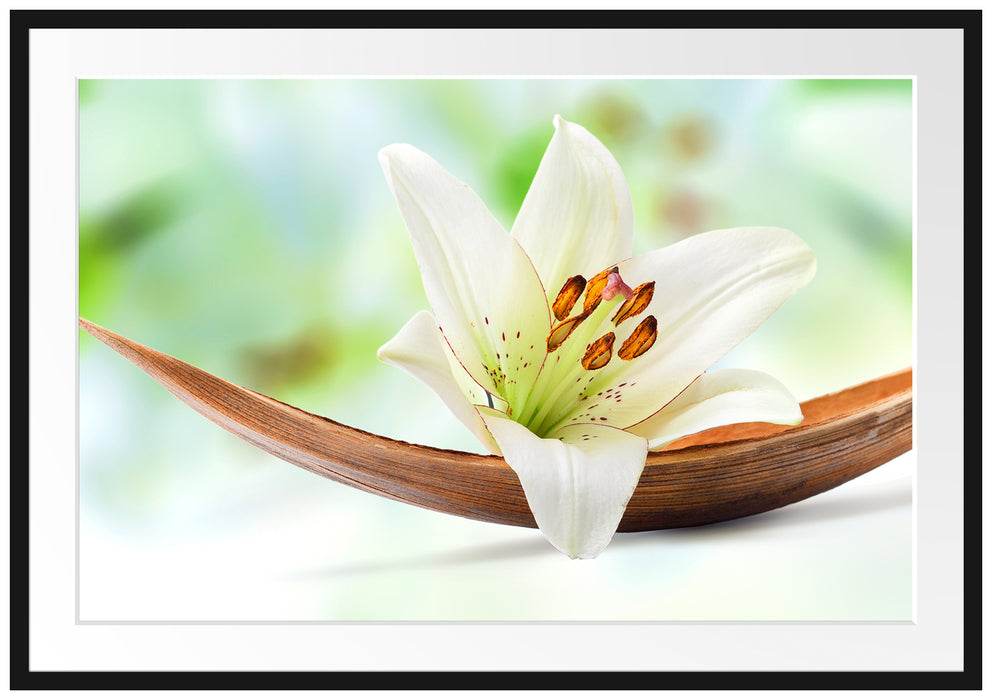 Pixxprint Lilie Blüte Bananenblatt, im Galerie-Passepartout Bilderrahmen