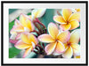 Monoi Blüten auf Hawaii Passepartout 80x60