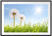 Pusteblumen auf Frühlingswiese Passepartout 100x70